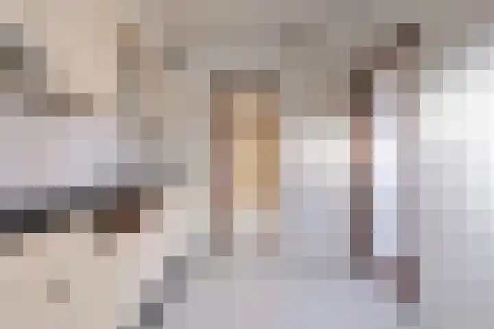 Loolaan 41 56 Apeldoorn thumbnail 14