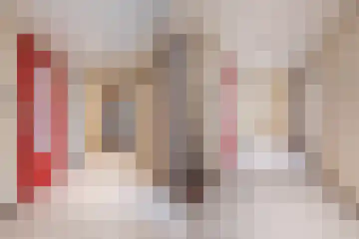 Loolaan 41 56 Apeldoorn thumbnail 15