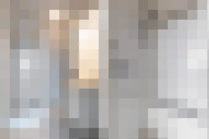 Loolaan 41 56 Apeldoorn thumbnail 19