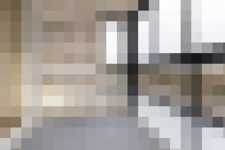 Loolaan 41 56 Apeldoorn foto 2