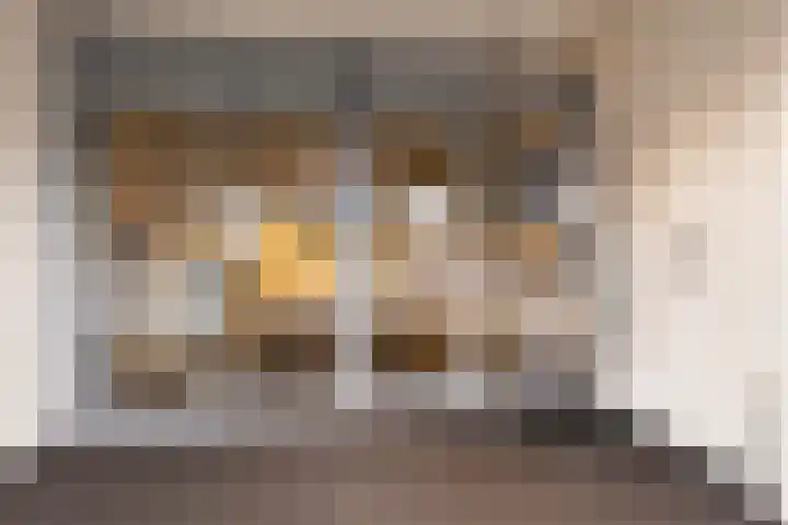 Loolaan 41 56 Apeldoorn thumbnail 22