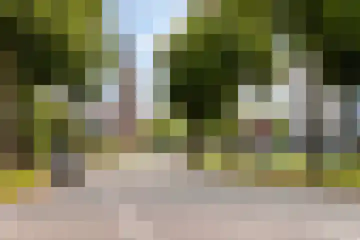 Loolaan 41 56 Apeldoorn thumbnail 32