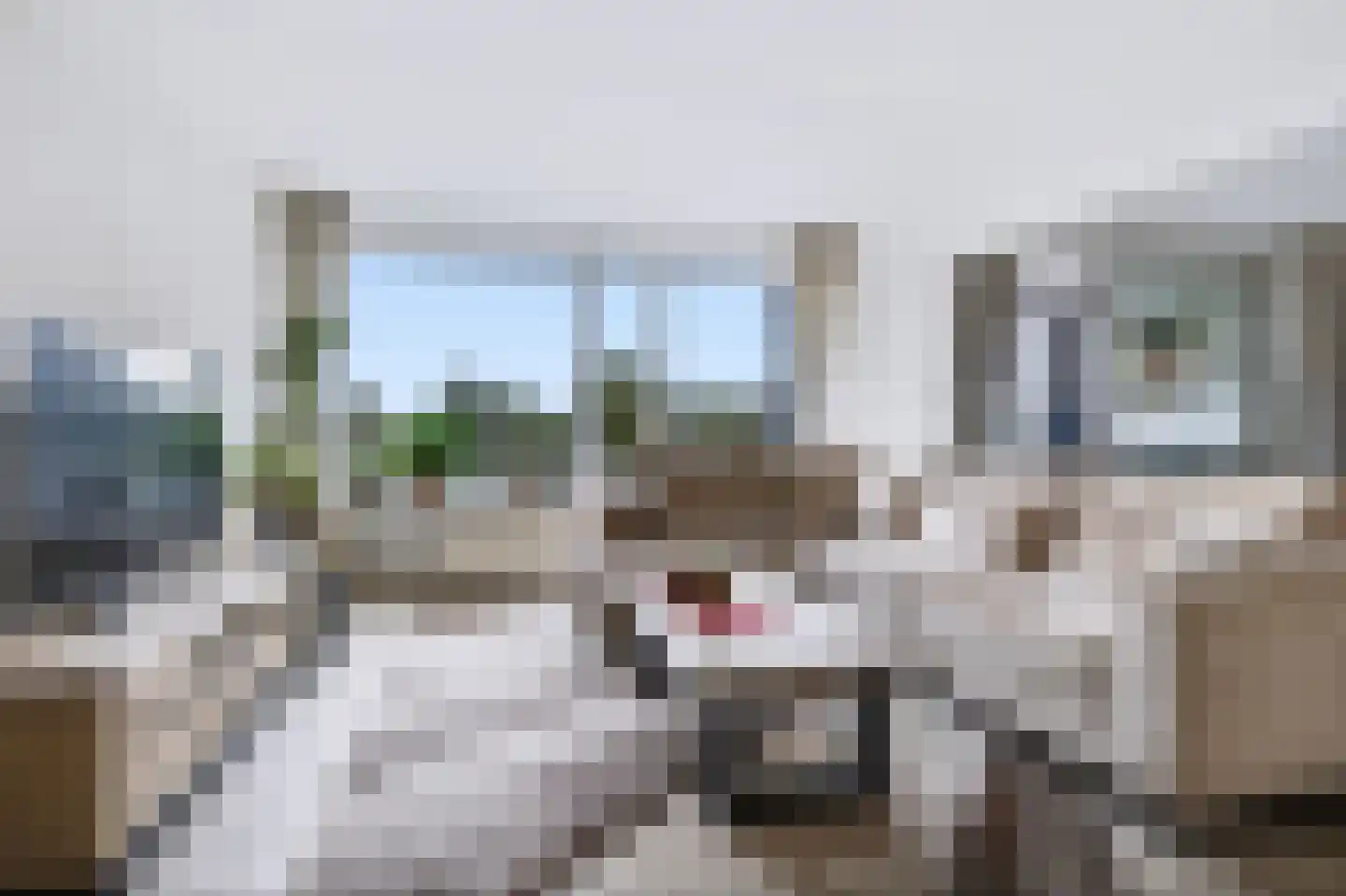 Loolaan 41 56 Apeldoorn thumbnail 4