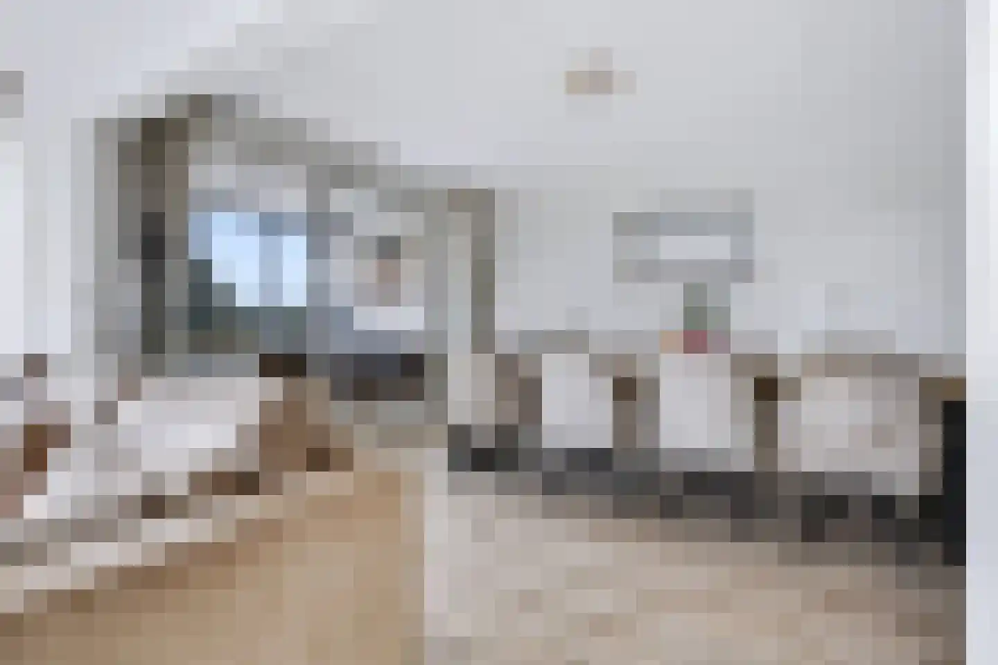 Loolaan 41 56 Apeldoorn thumbnail 6