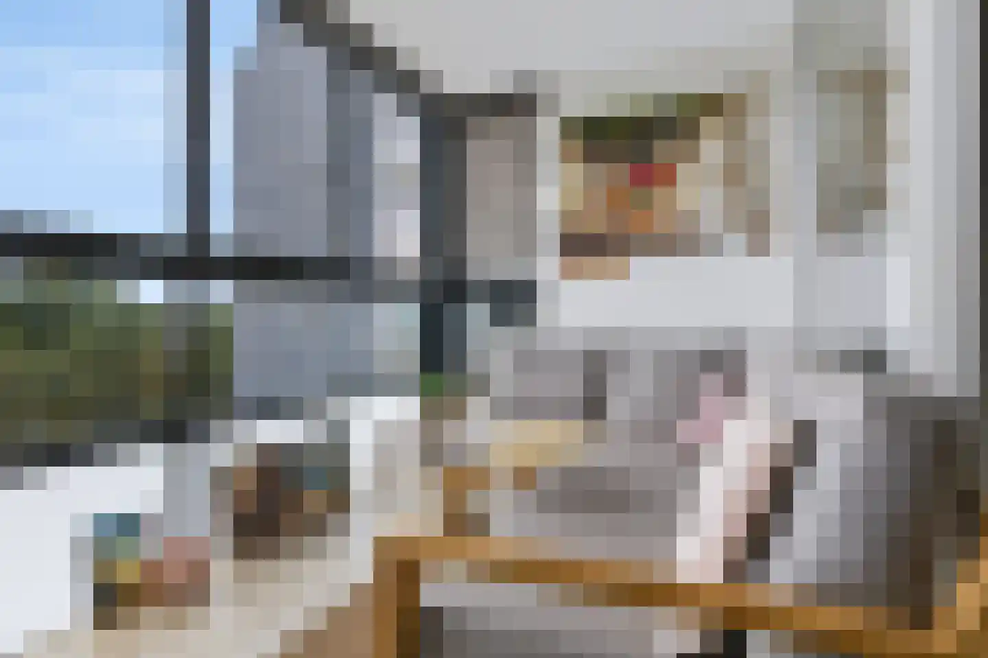 Loolaan 41 56 Apeldoorn thumbnail 9