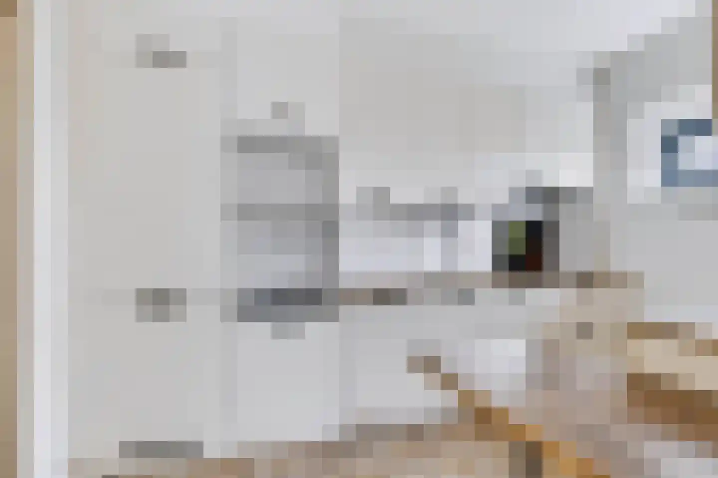 Loolaan 41 57 Apeldoorn thumbnail 12