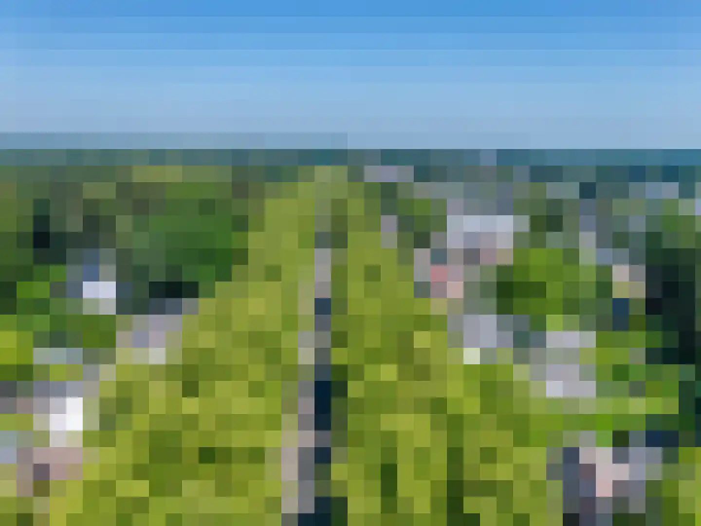 Loolaan 41 59 Apeldoorn thumbnail 19