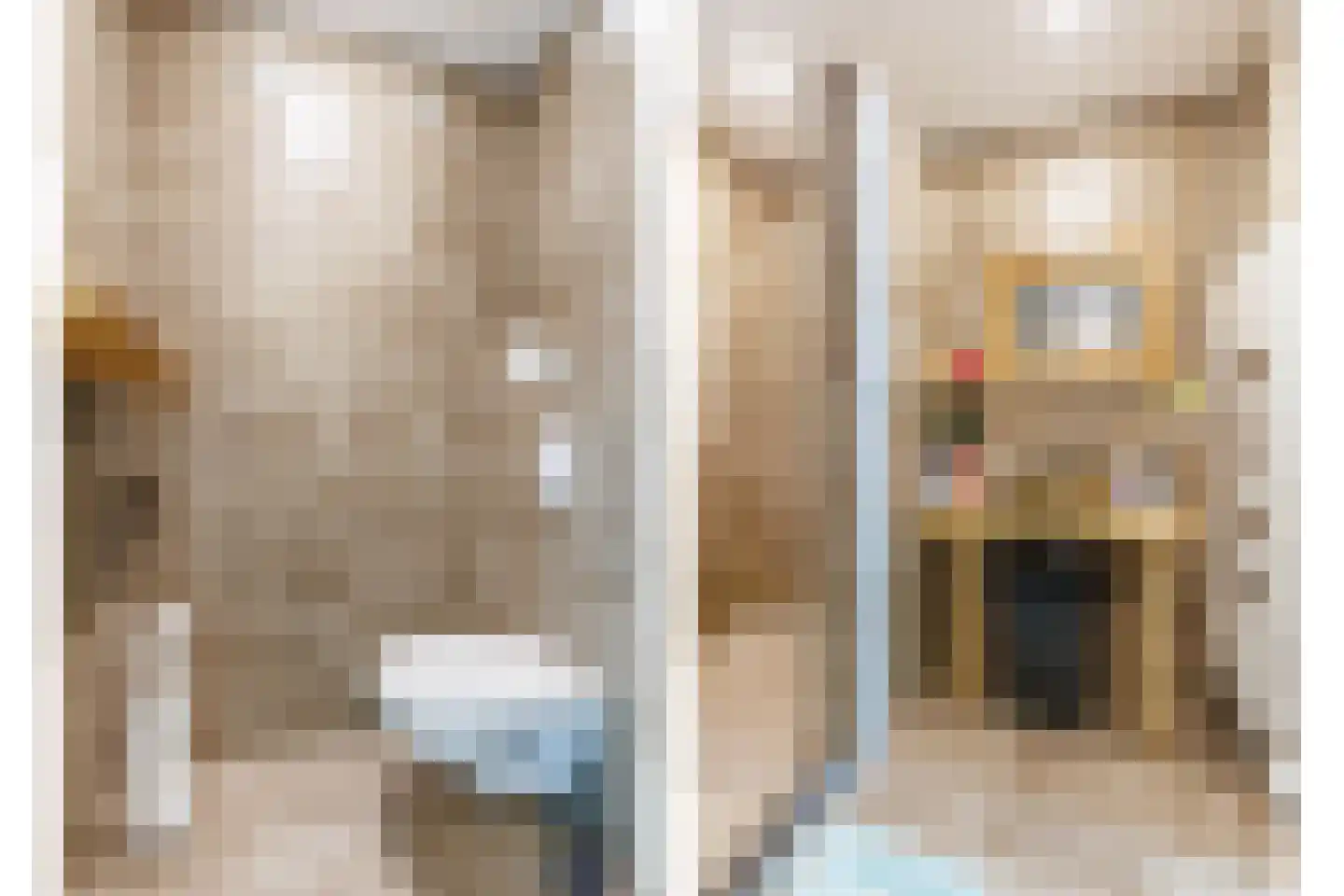 Loolaan 41 59 Apeldoorn thumbnail 4