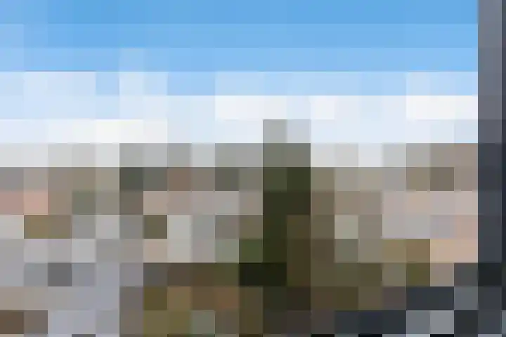 Loolaan 41 60 Apeldoorn thumbnail 10