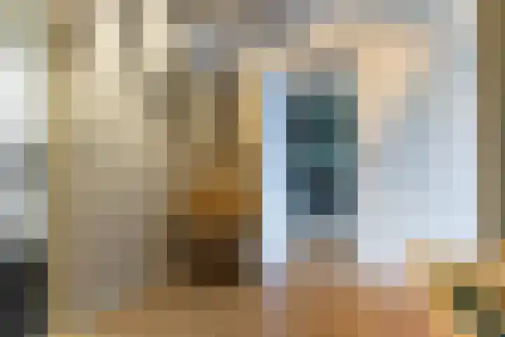 Loolaan 41 60 Apeldoorn thumbnail 12