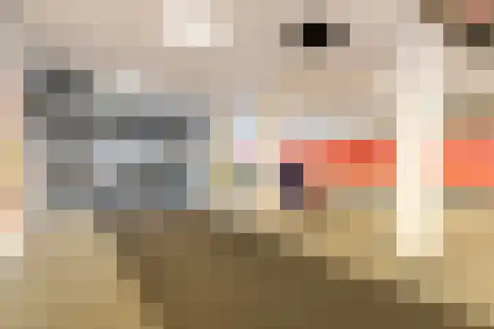 Loolaan 41 60 Apeldoorn thumbnail 26