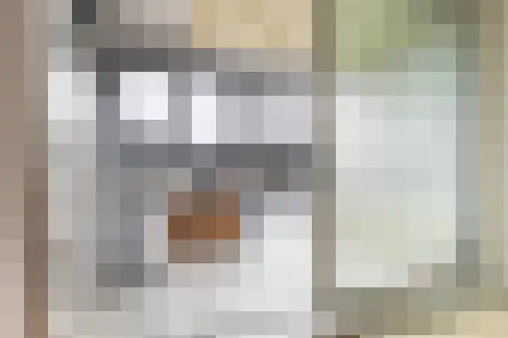 Loolaan 41 60 Apeldoorn thumbnail 9