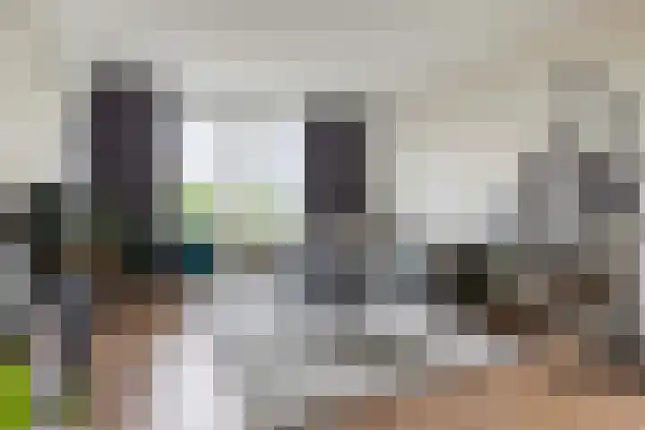 Loolaan 41 65 Apeldoorn thumbnail 12