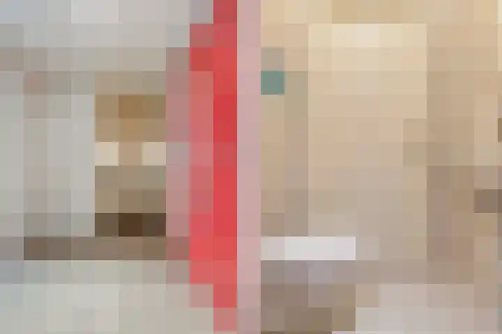 Loolaan 41 65 Apeldoorn thumbnail 8