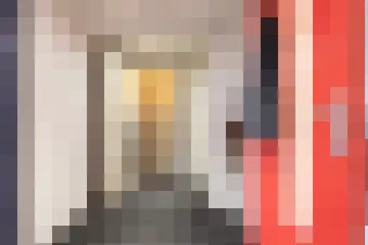 Loolaan 41 68 Apeldoorn thumbnail 5