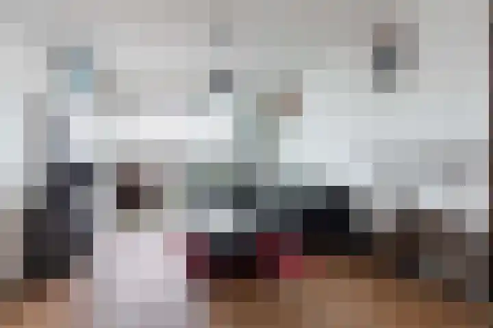 Loolaan 41 68 Apeldoorn thumbnail 9