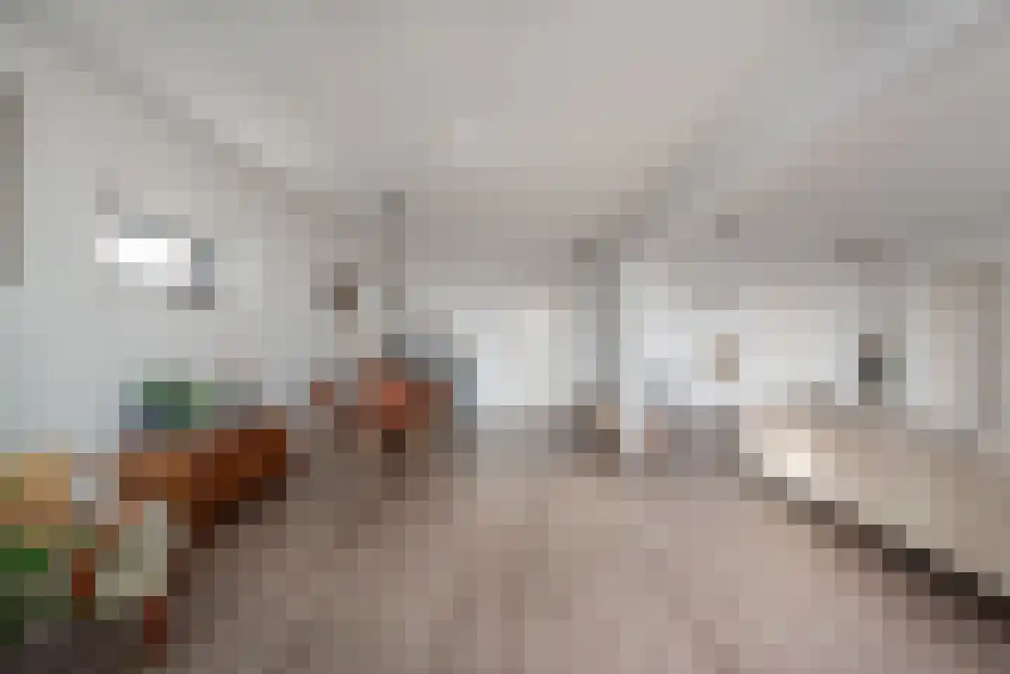 Loolaan 41 70 Apeldoorn thumbnail 11