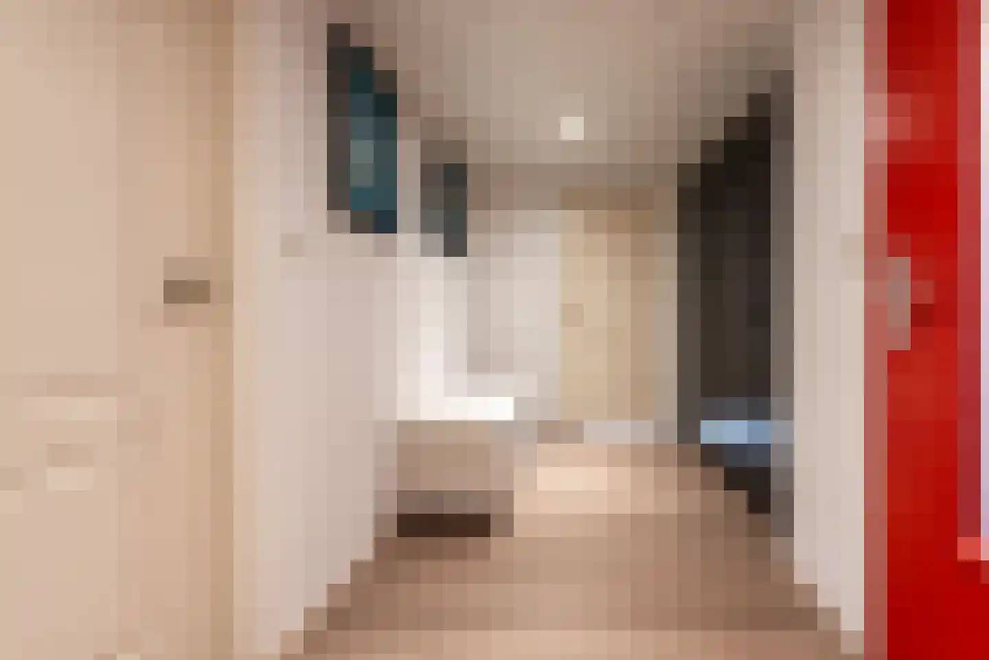 Loolaan 41 70 Apeldoorn thumbnail 6
