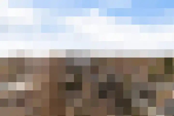 Loolaan 41 86 Apeldoorn thumbnail 11