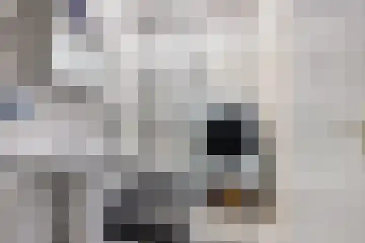 Loolaan 41 86 Apeldoorn thumbnail 14