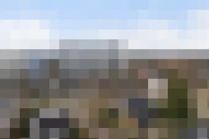 Loolaan 41 86 Apeldoorn thumbnail 19