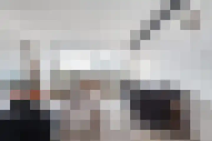 Loolaan 41 86 Apeldoorn thumbnail 6