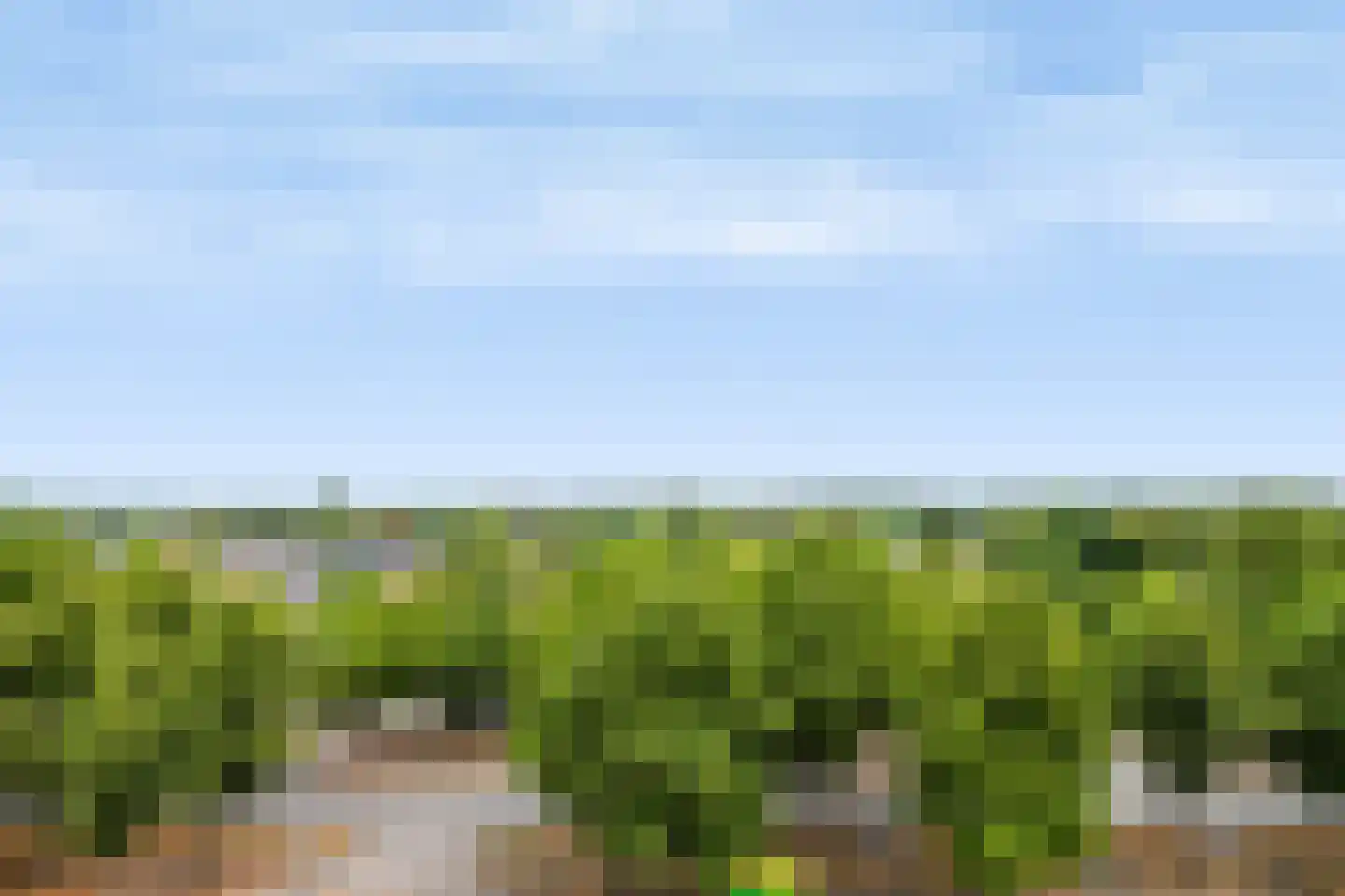 Loolaan 41 93 Apeldoorn thumbnail 8