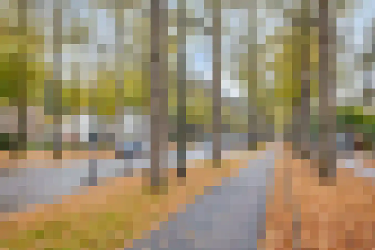 Loolaan 41 97 Apeldoorn thumbnail 22