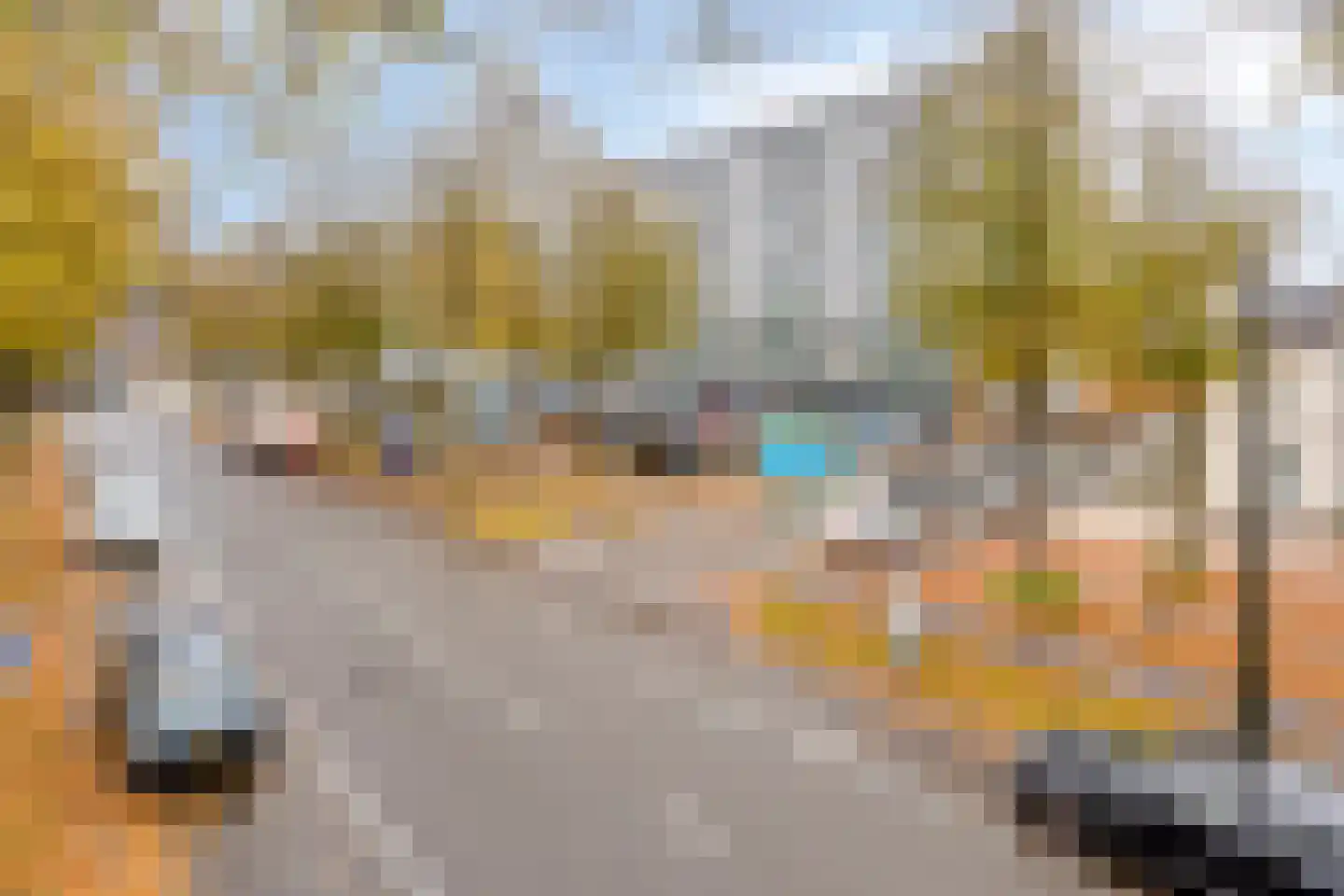 Loolaan 41 97 Apeldoorn thumbnail 25