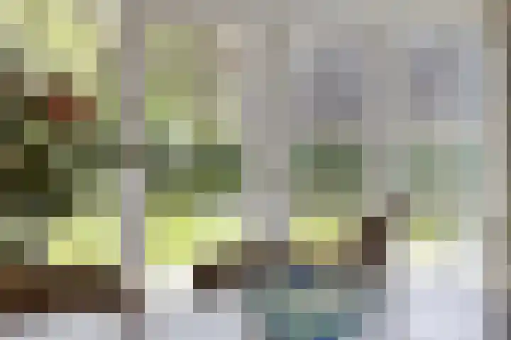 Loolaan 48 Ruurlo thumbnail 11