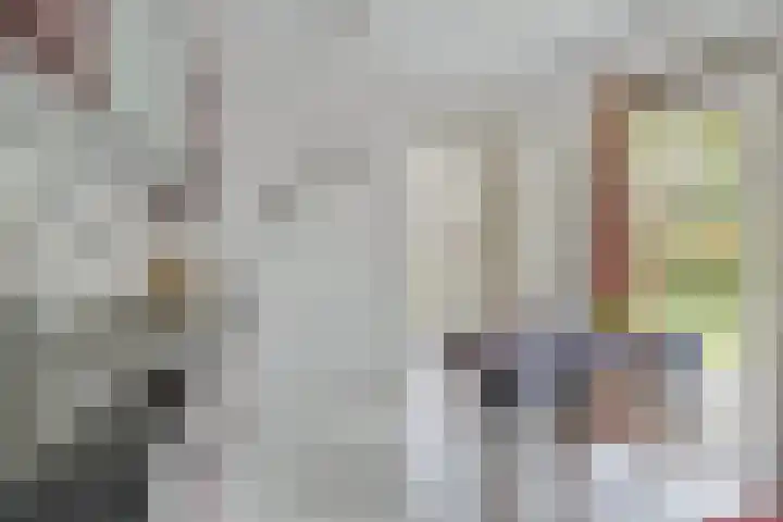 Loolaan 48 Ruurlo thumbnail 13