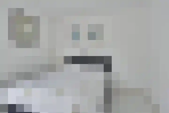 Loolaan 48 Ruurlo thumbnail 15