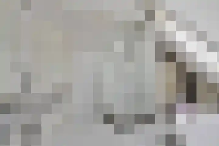 Loolaan 48 Ruurlo thumbnail 23