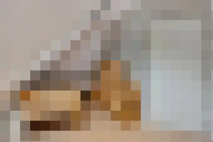 Loolaan 48 Ruurlo thumbnail 27