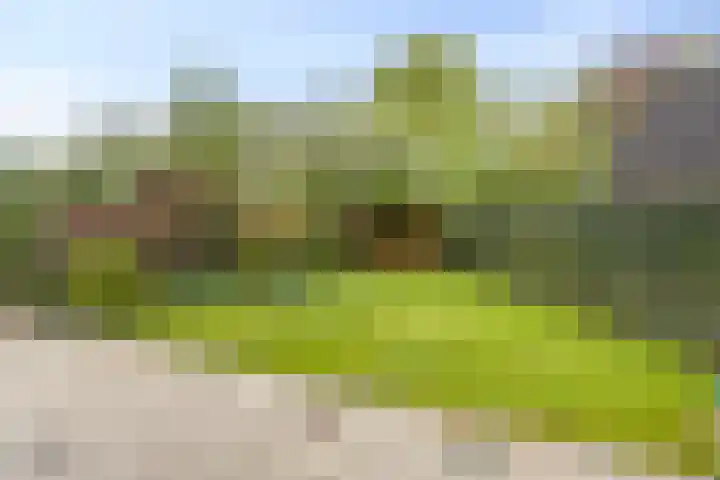 Loolaan 48 Ruurlo thumbnail 28