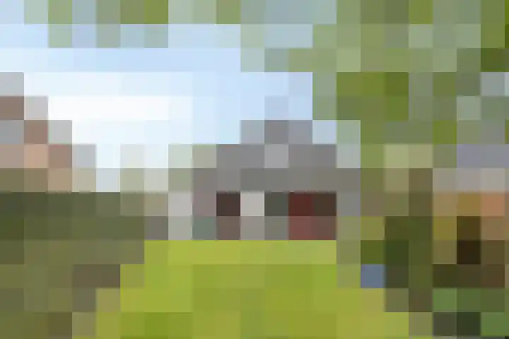Loolaan 48 Ruurlo thumbnail 31