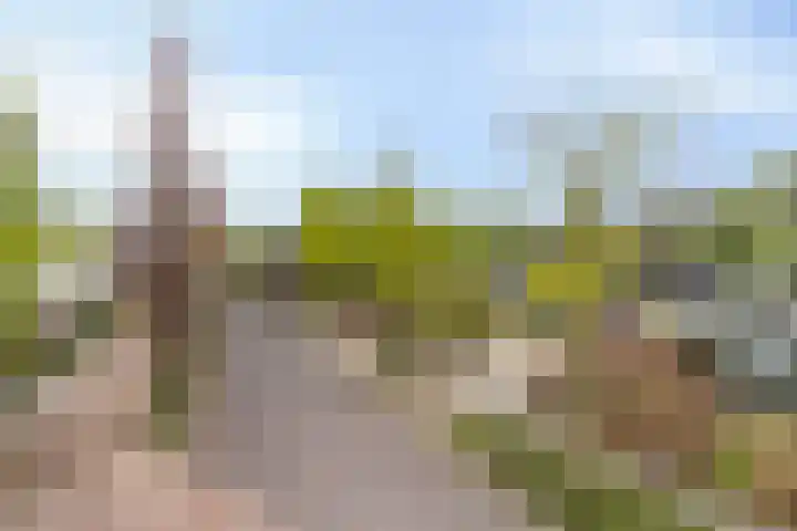 Loolaan 48 Ruurlo thumbnail 32
