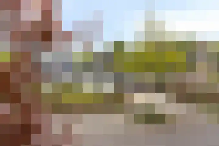 Loolaan 48 Ruurlo thumbnail 33