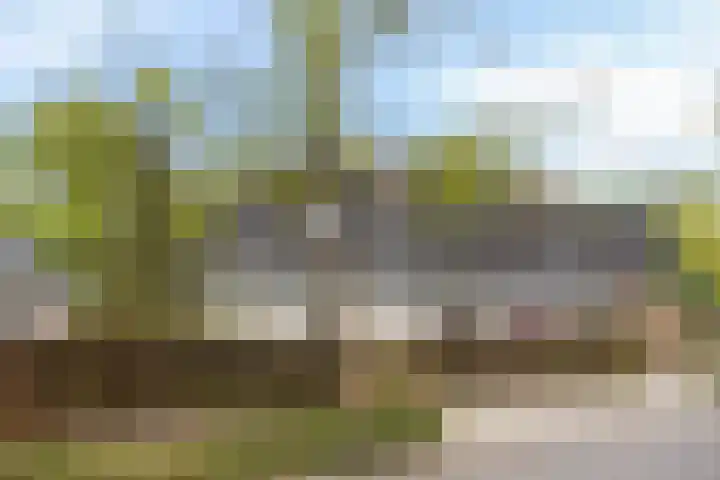 Loolaan 48 Ruurlo thumbnail 35