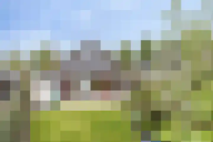 Loolaan 48 Ruurlo thumbnail 5