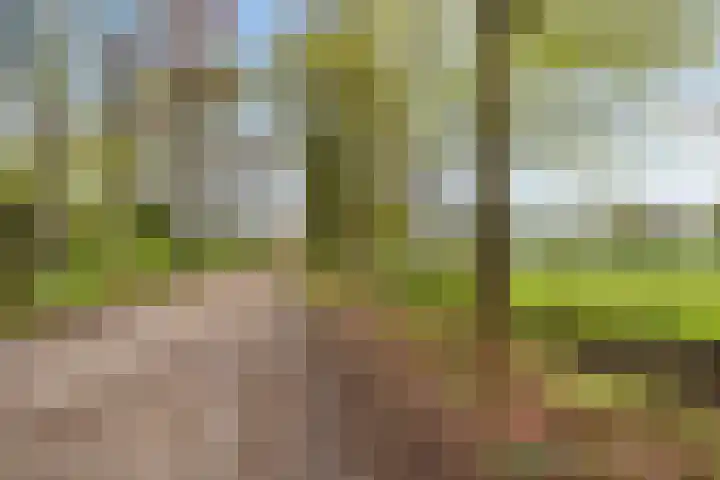 Loolaan 48 Ruurlo thumbnail 6