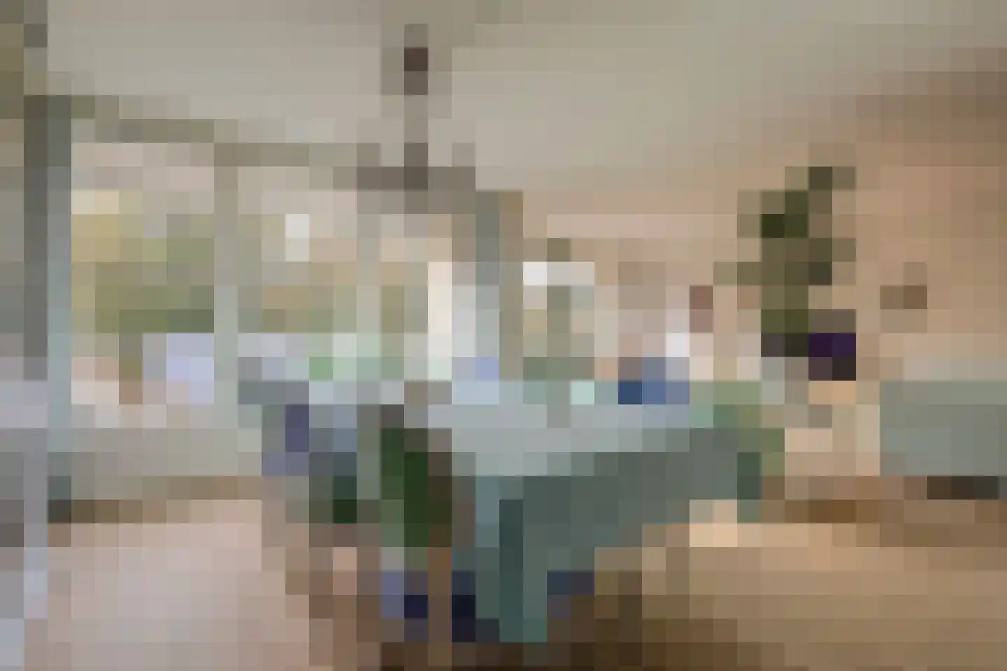 Loolaan 492 Apeldoorn thumbnail 12