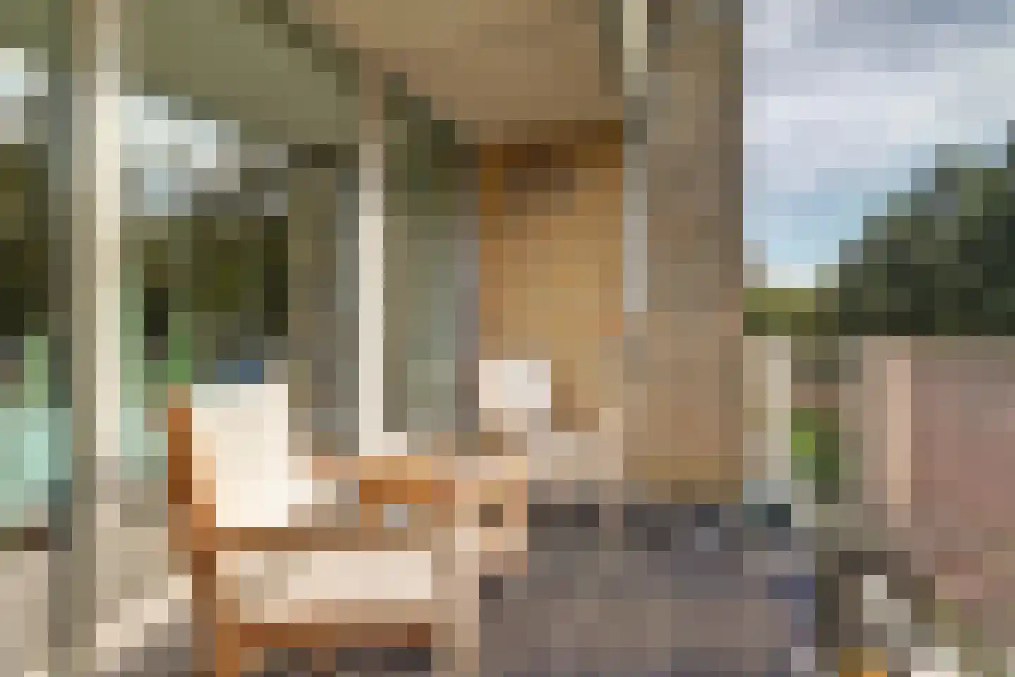 Loolaan 492 Apeldoorn thumbnail 28