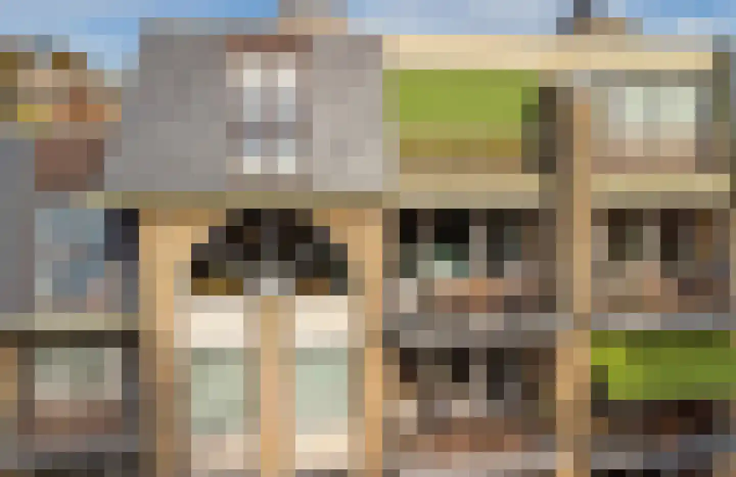 Loolaan 492 Apeldoorn thumbnail 30