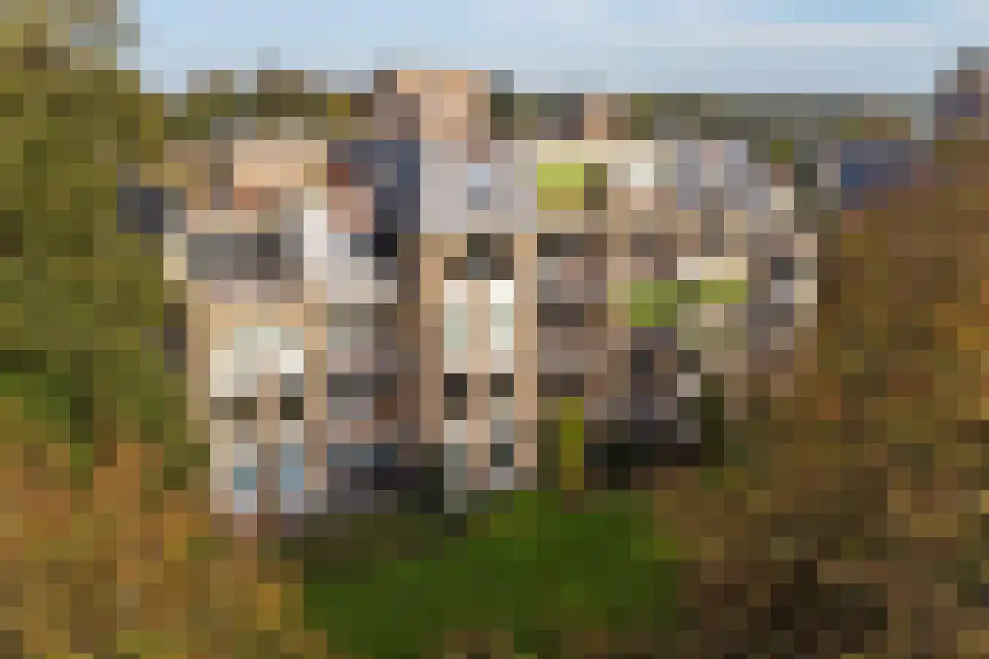Loolaan 492 Apeldoorn thumbnail 31