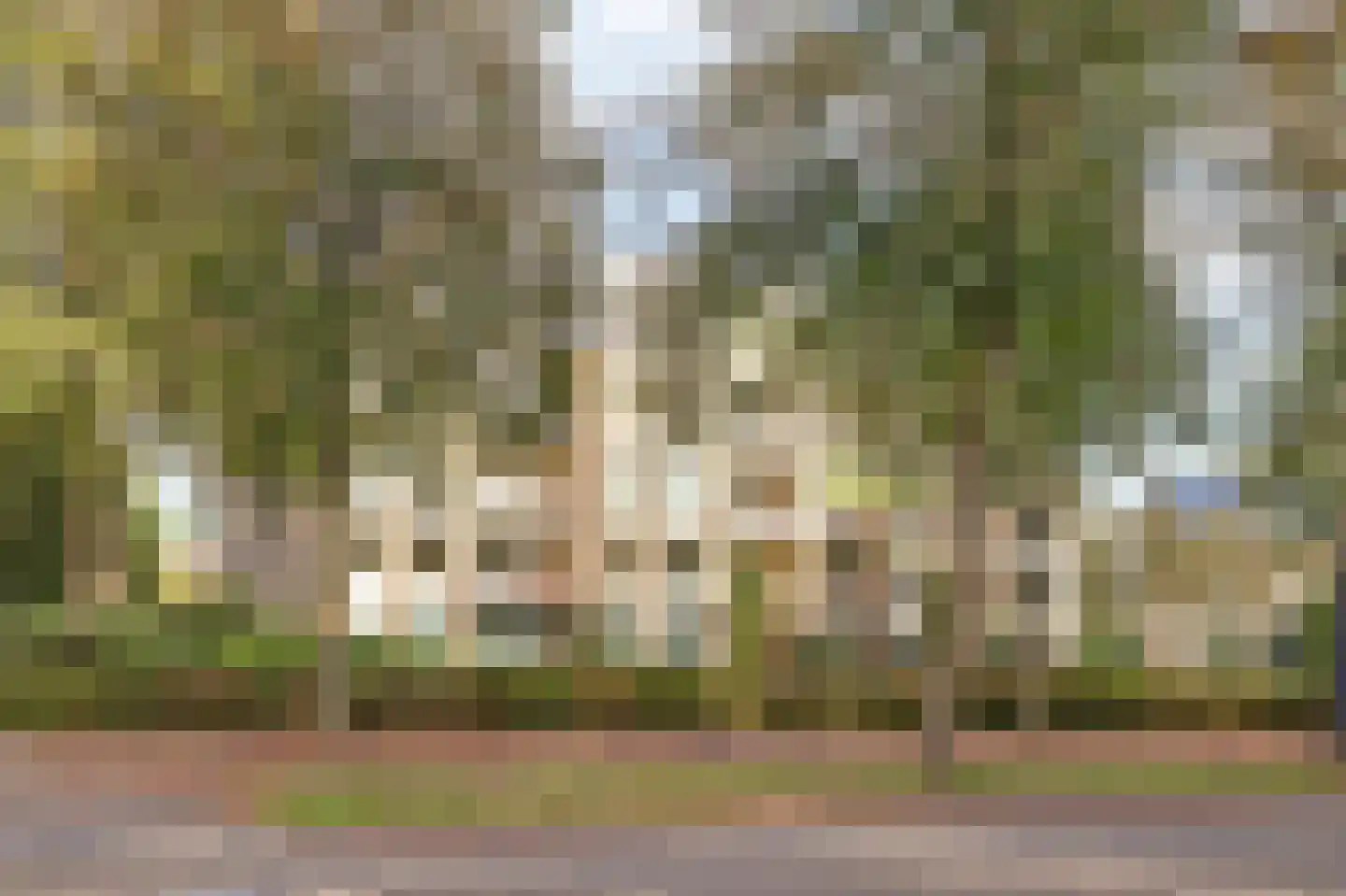 Loolaan 492 Apeldoorn thumbnail 32