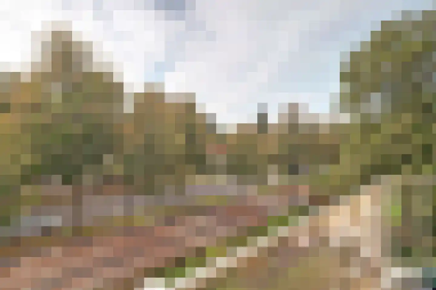 Loolaan 492 Apeldoorn thumbnail 33