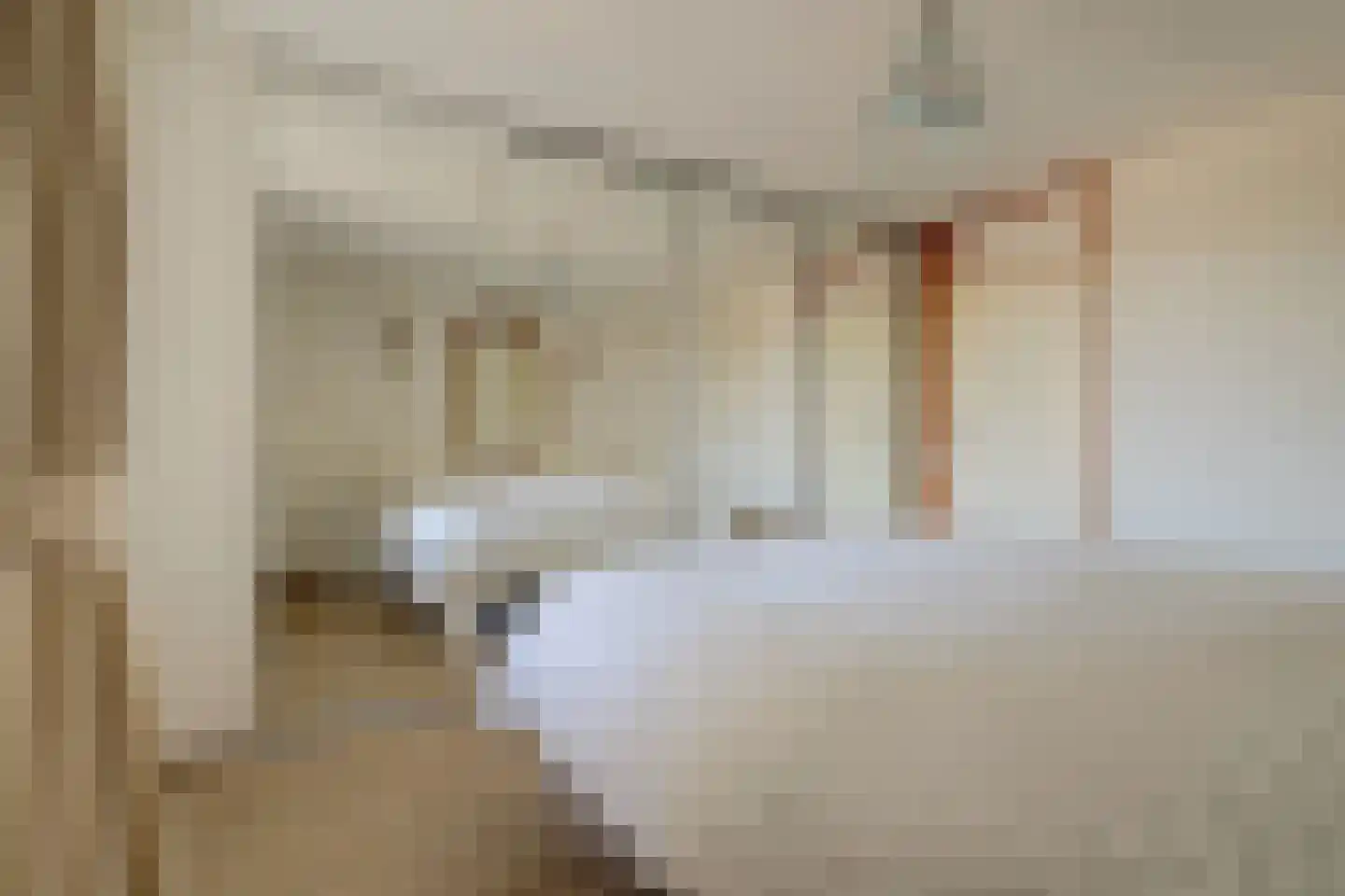 Loolaan 492 Apeldoorn thumbnail 35