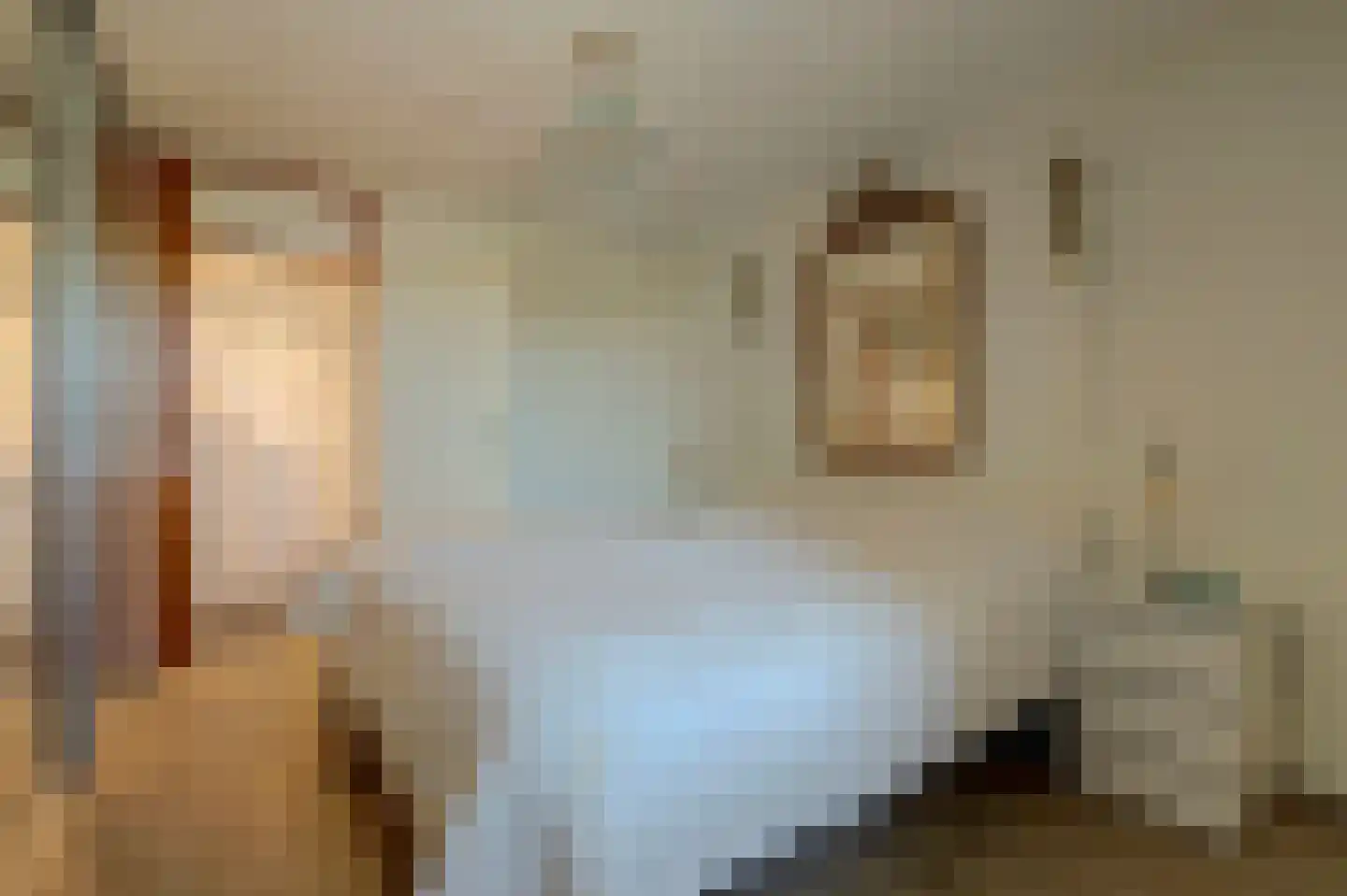 Loolaan 492 Apeldoorn thumbnail 36