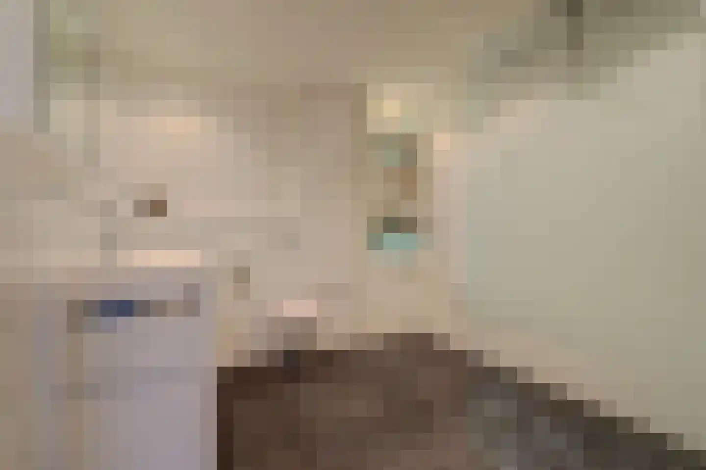 Loolaan 492 Apeldoorn thumbnail 37
